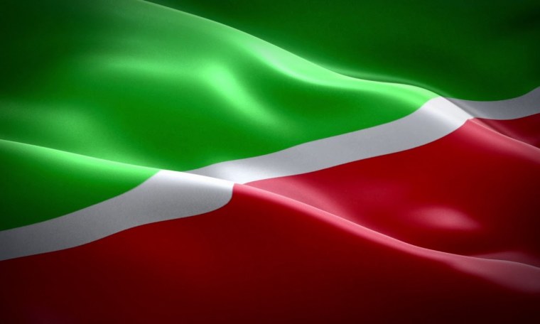 Польский чеченский флаг