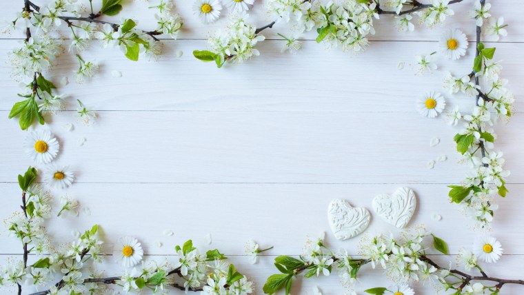 Фотофон ромашки