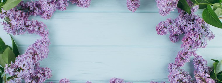 Подложка сирень