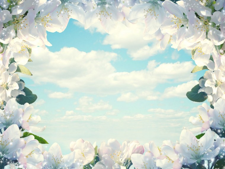 Весенний фон для презентации