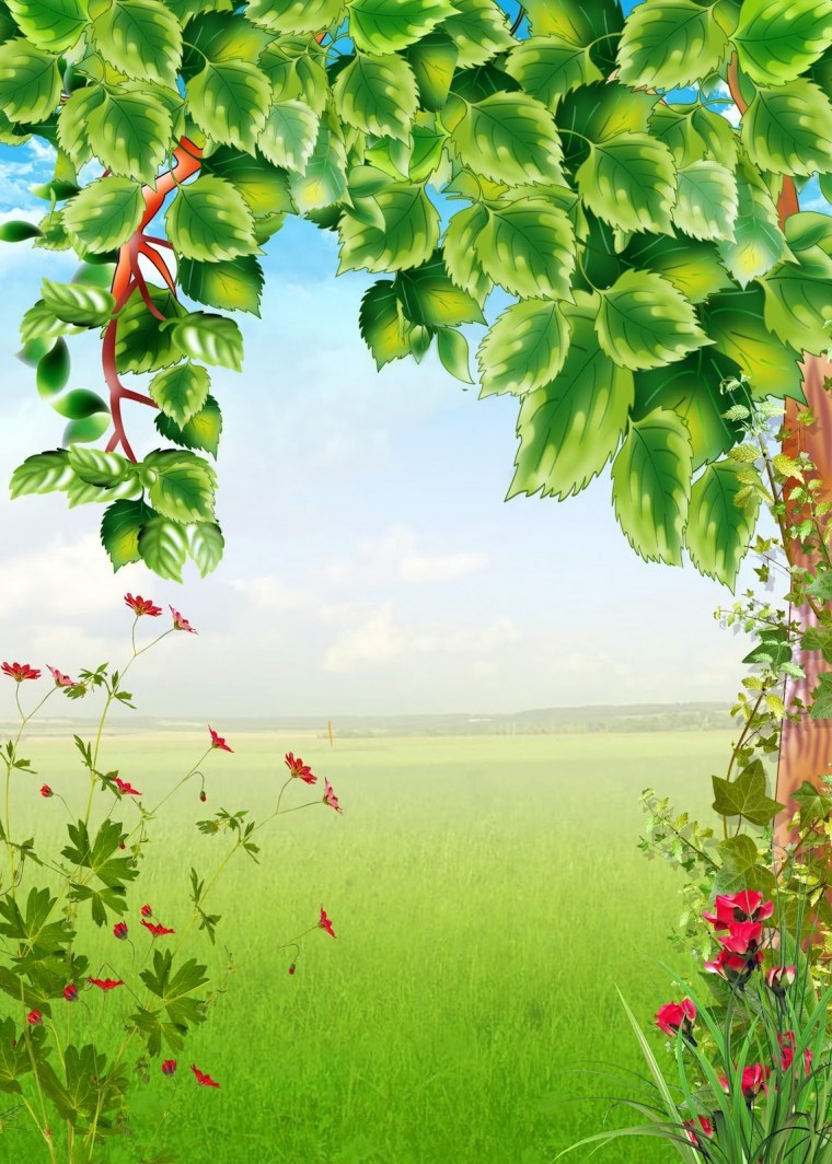 Баннер с изображением природы