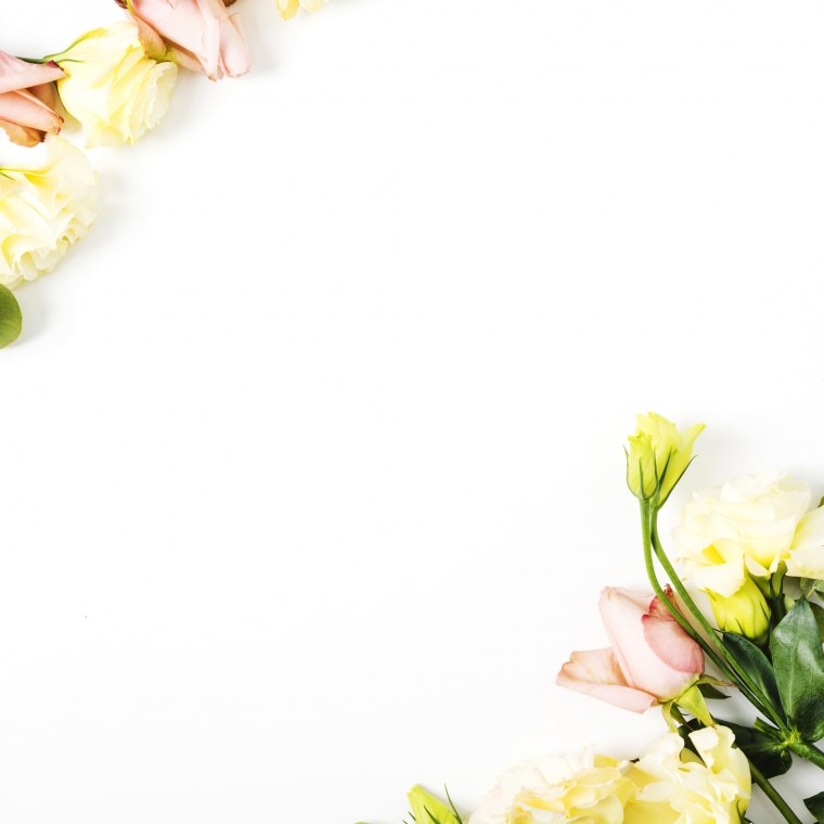 Фон с цветами по краям