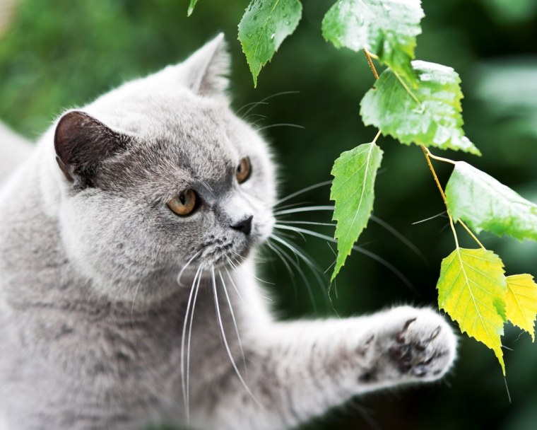 Банф Канада закат