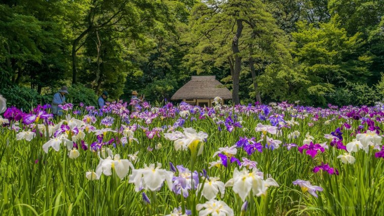 Горы Поляна лес река