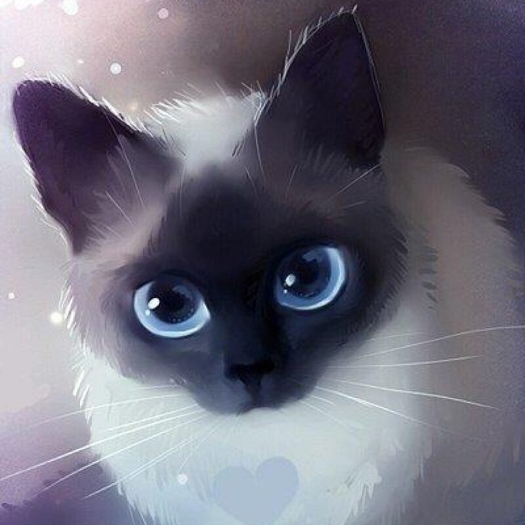 Коты-Воители. Длинные тени