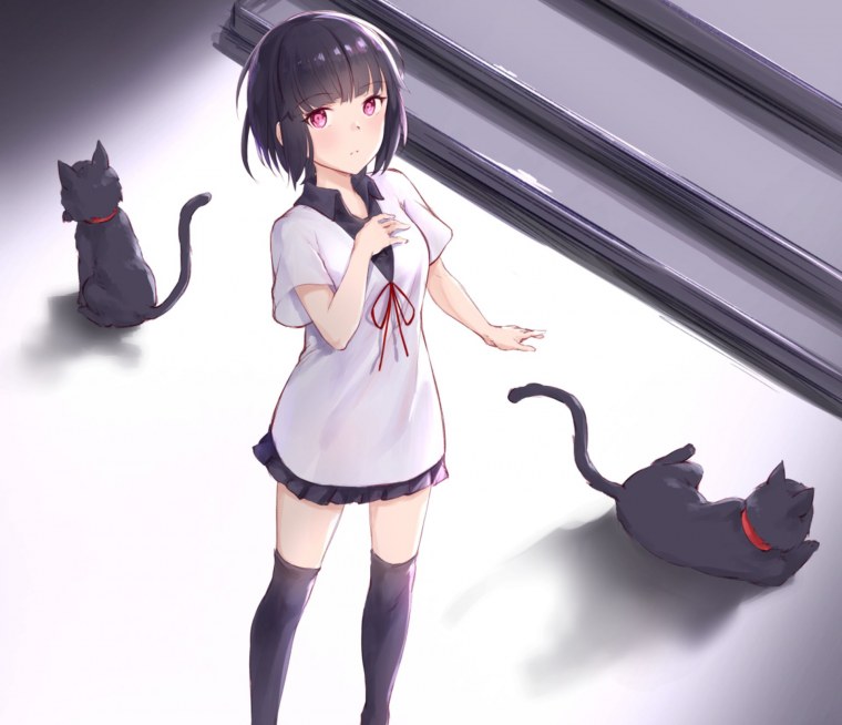 Милые котики мультяшные