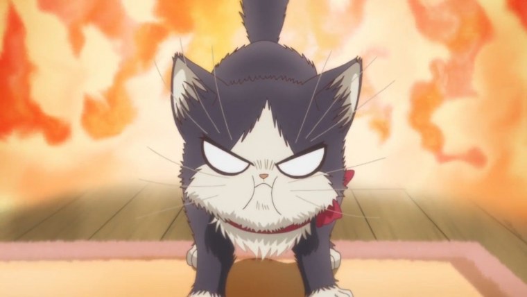 Грустные арты с котами