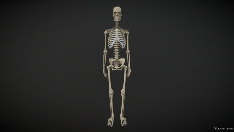 Желтый череп