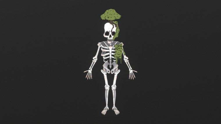 Крутые черепа