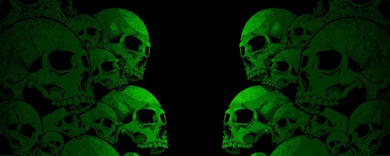 Обложка череп