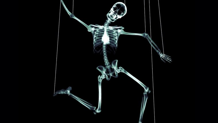 Картинки черепа