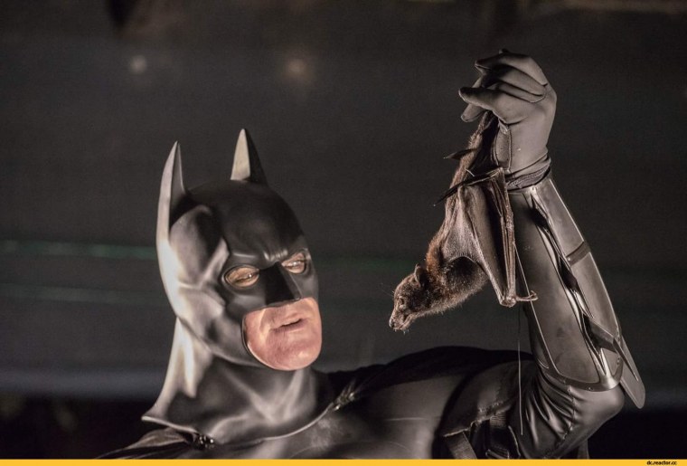 Batman летучая мышь