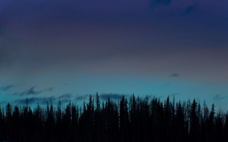 Everlasting Summer старый лагерь