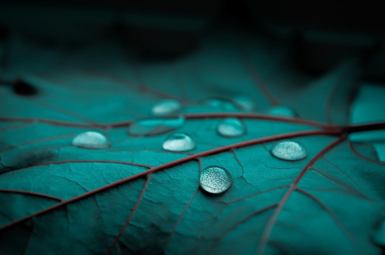 Волшебные бабочки