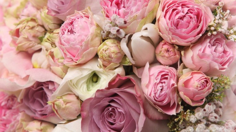 Шикарные живые розы