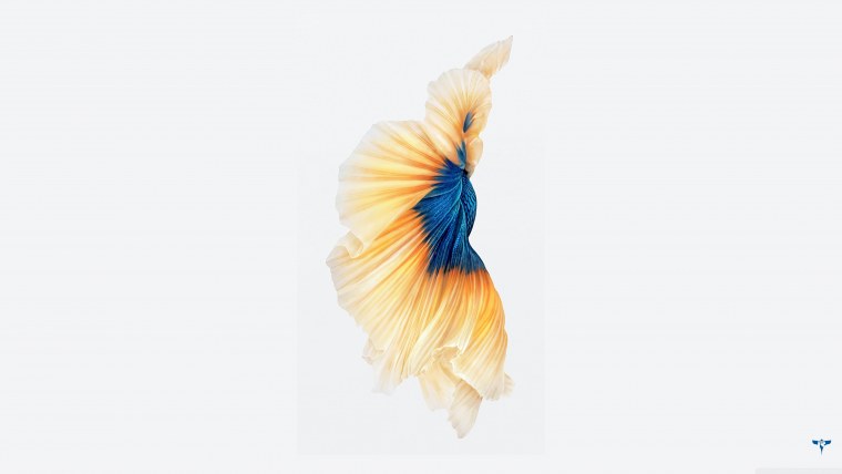 Обои на айфон