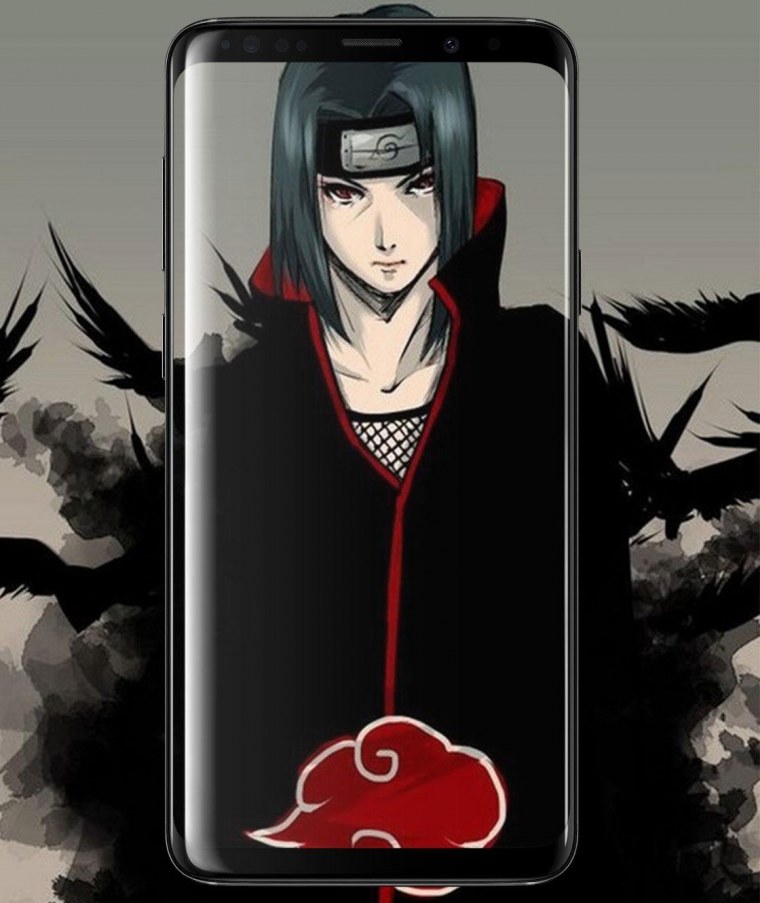 Шисуи на зеленом фоне