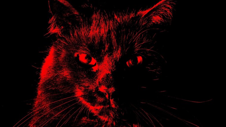 Красный череп на черном фоне