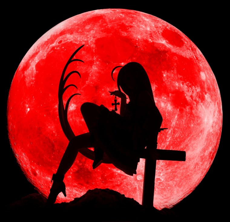 Оранжево черный кот