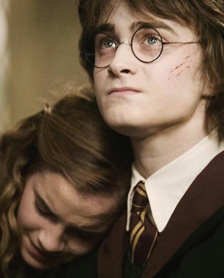 Гриффиндор Эстетика Гарри