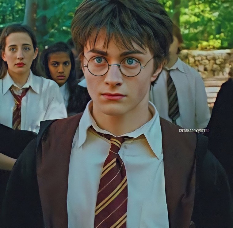 Гарри Поттер с ушками