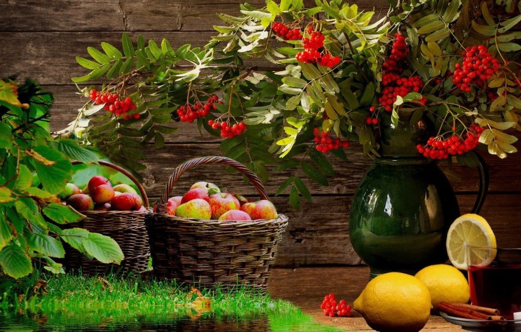 Цветы и фрукты