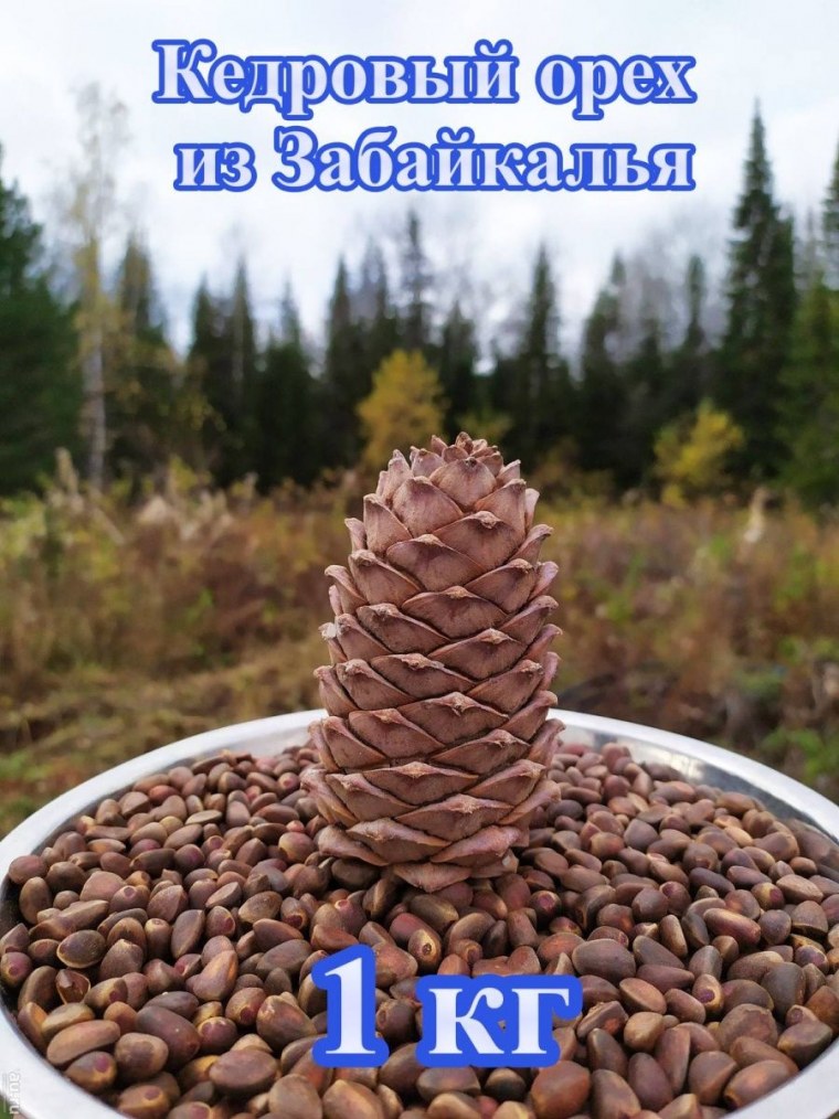 Макросъемка природа