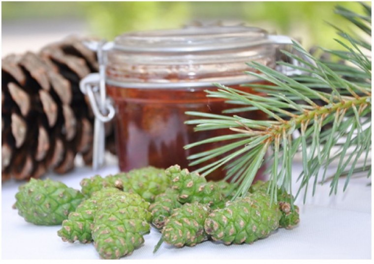 Кедровые шишки с орехами