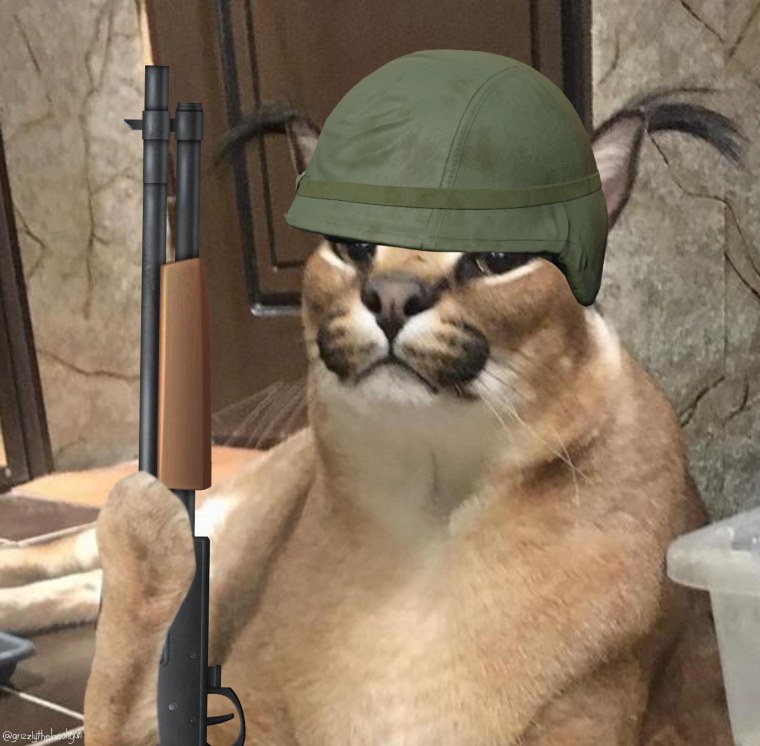 Большой Шлепа кот