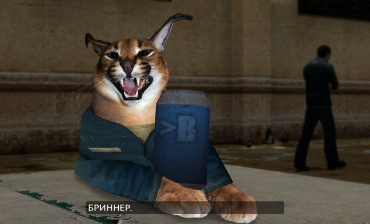 Шлёпа на аву