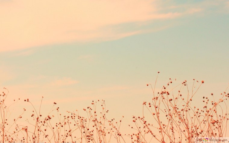 Домик в лесу у озера