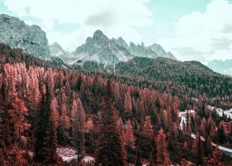 Фон с растениями Минимализм