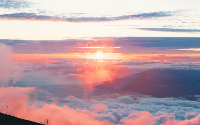 Спринг блоссом Эстетика