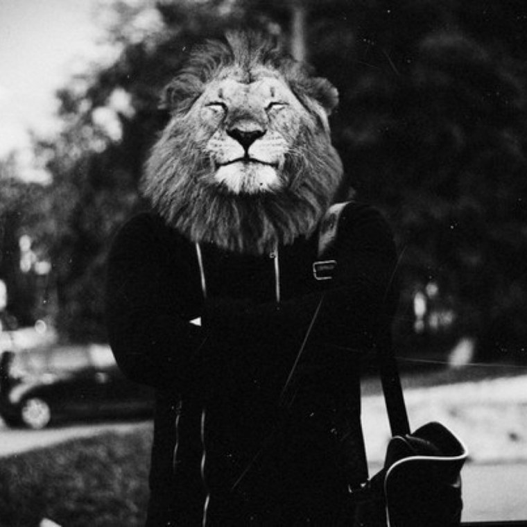 Kevin Richardson Lion Whisperer