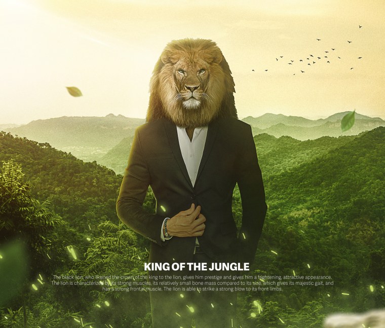 Костюм Льва