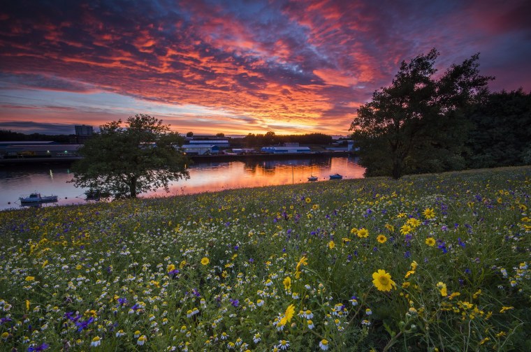Вечерний пейзаж