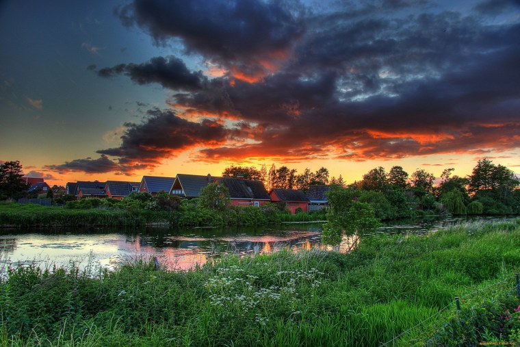 Вересковаяпустоши Германия