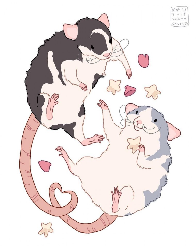 Крысы которые обнимаются