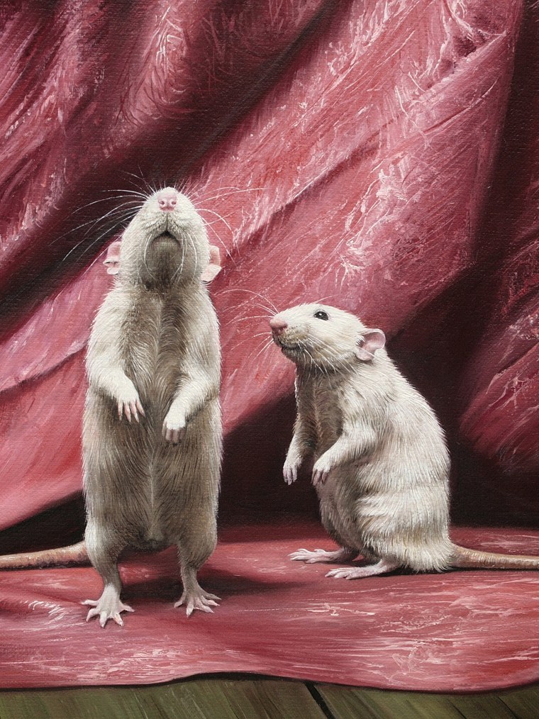 Минимализм животные