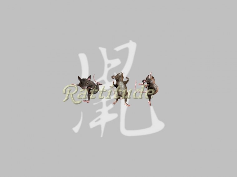 Две крыски обнимаются