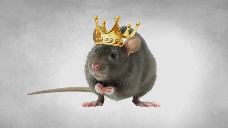 Сериал звери 2016