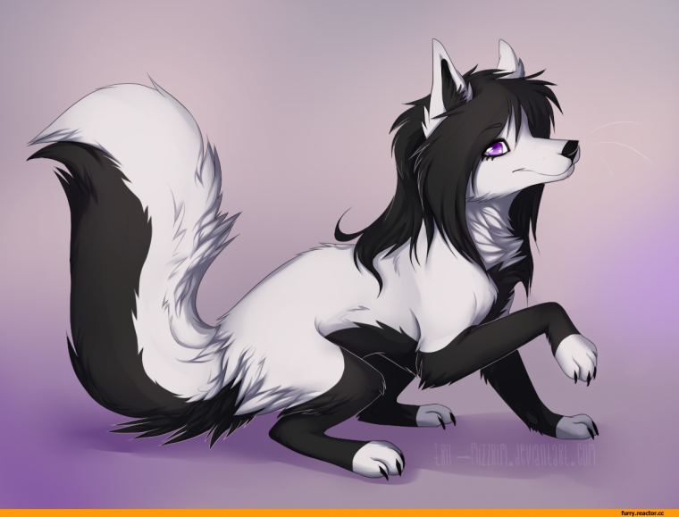 Парень с волчьими ушами и хвостом