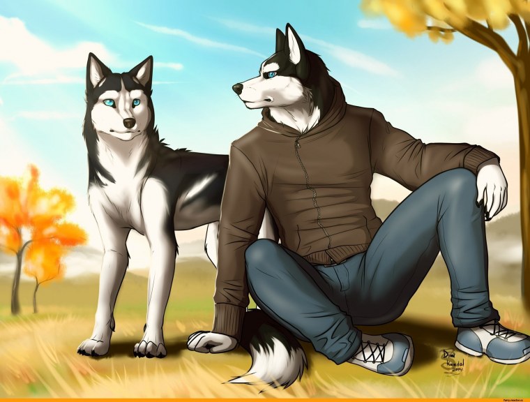 Фурри в толстовке