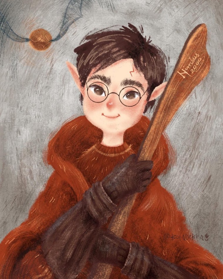 Bocadebra иллюстрации Гарри Поттер