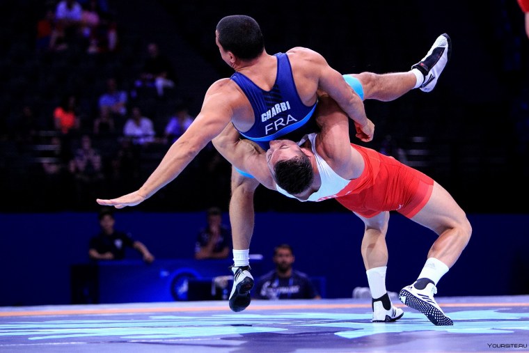 Греко-Римская, Вольная борцы