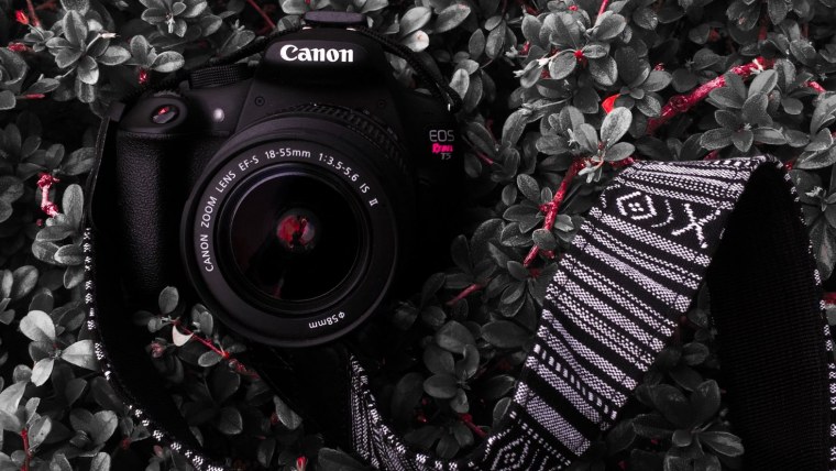 Зеркало в фотоаппарате