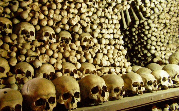 Кости черепа