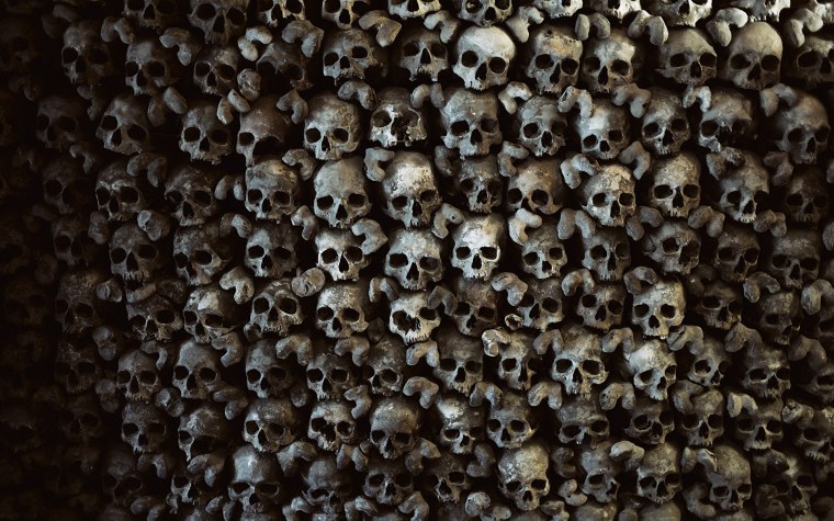 Череп на сером фоне