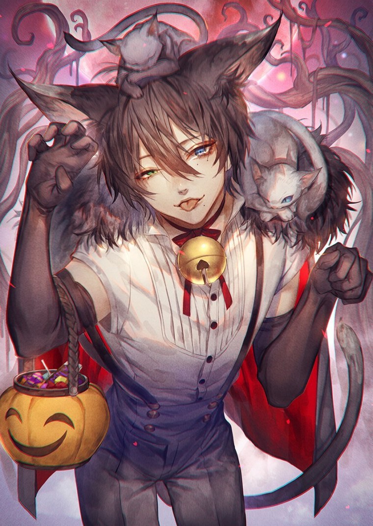 Аниме кун неко демон