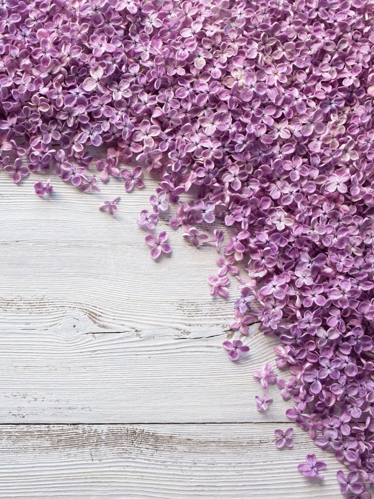 Фиолетовый лимон